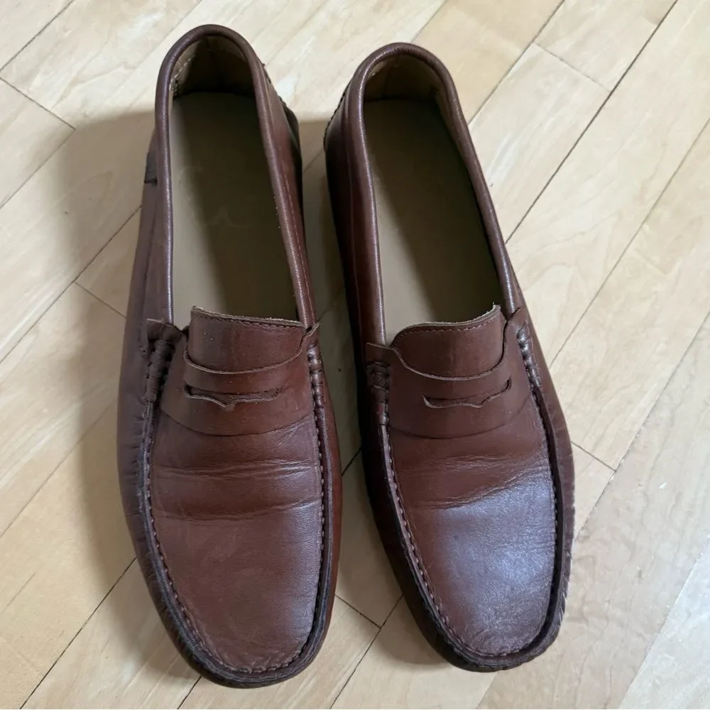 Ted Baker Alerrt Driving Loafer Shoe in Brown Chocolate 44